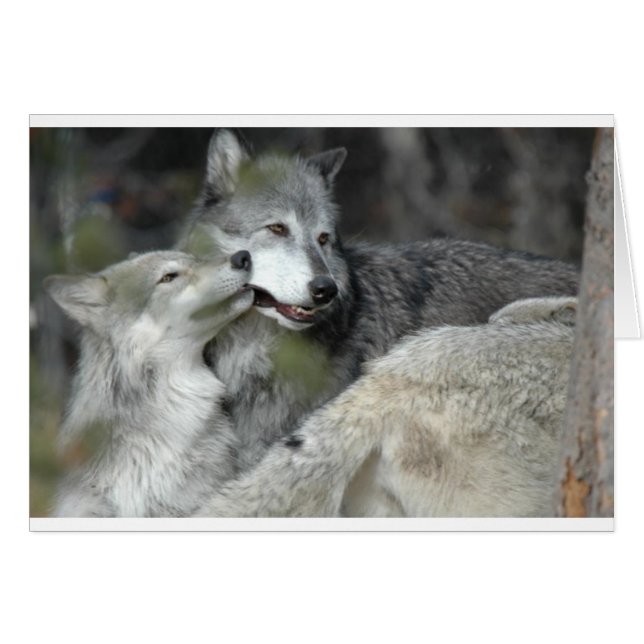 Mère et bébé (Devant horizontal)