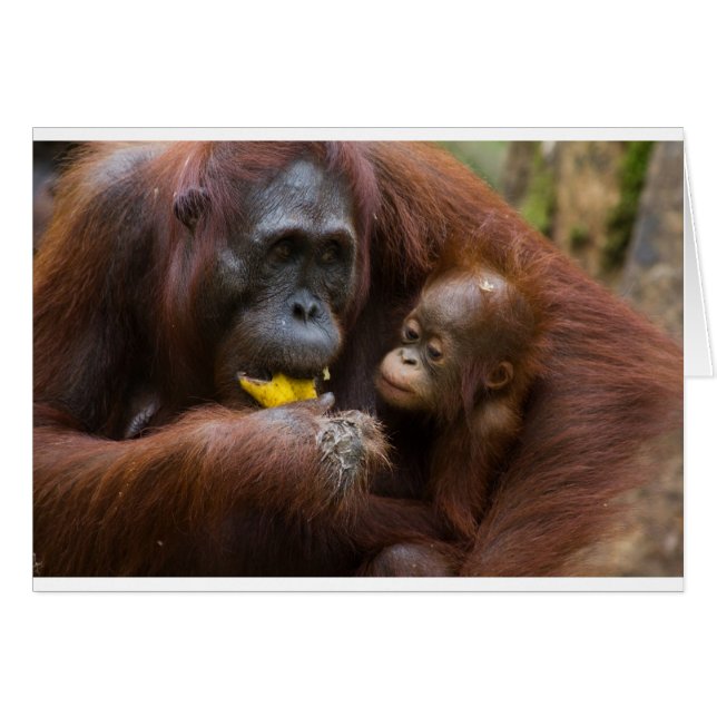 Mère et fils (Devant horizontal)