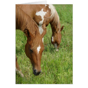 Mère et Fils, Chevaux