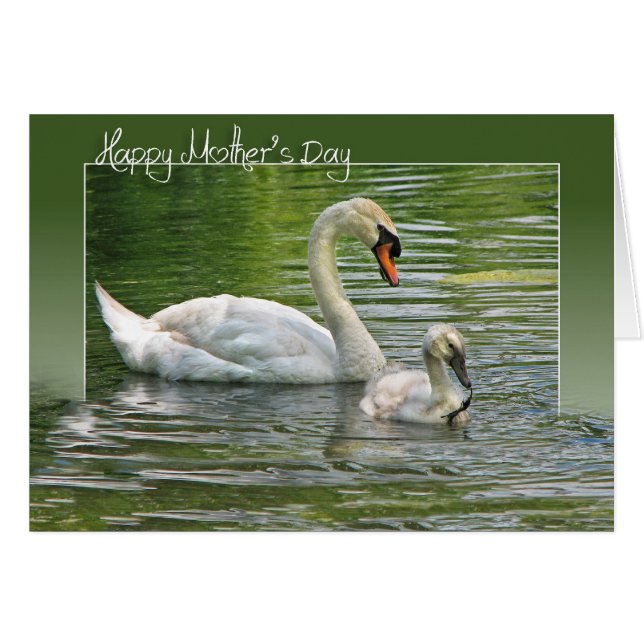 Mère Swan avec Cygnet (Devant horizontal)