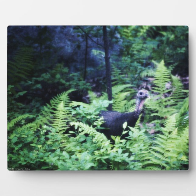 Mère Turquie sur la Plaque des Ferns (Devant)