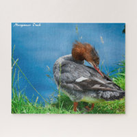 Merganser Duck