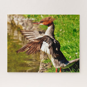 Merganser Duck Jigsaw Puzzle