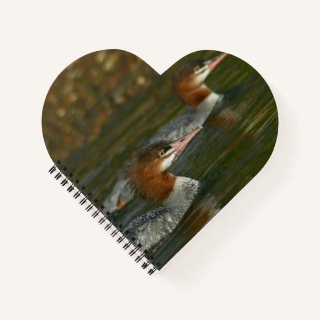 Merganser Spiral Notebook (Front)