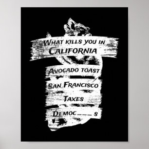 Merica Humour America USA Funny California Poster