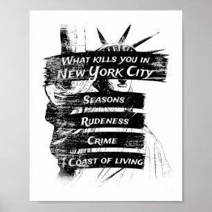 Merica Humour America USA Funny Patriotism New Yor Poster