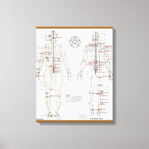 Méridiens humains & Pression Pt Graphique en toile