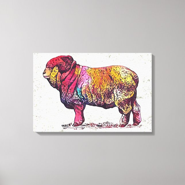 Merino Ram Canvas Print (Front)
