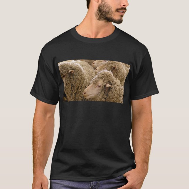 Merino sheep T-Shirt (Front)