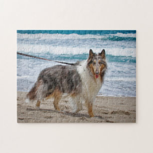 Merle Collie at the Beach Jigsaw Puzzle