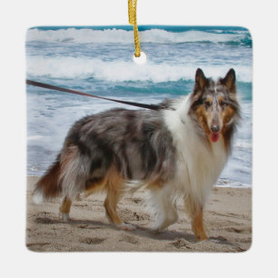 Merle Collie Dog at the Beach Ceramic Ornament