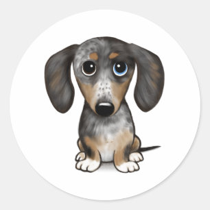 Merle Dapple Dachshund Cute Wiener Dog   Classic Round Sticker