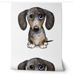 Merle Dapple Dachshund Cute Wiener Dog Wallpaper
