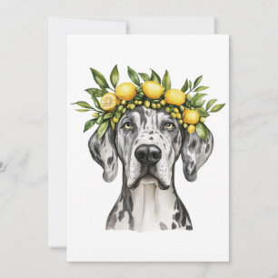 Merle Great Dane Dog Lemon Crown Card