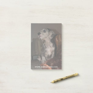 Merle Great Dane Post-it Notes