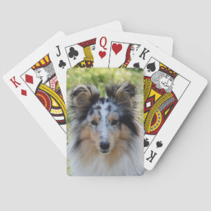 Merle Shetland Sheepdog - Sheltie Dog Playing Cards