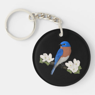 Merlebleu de l'Est Ornithophile Observateur d'oise