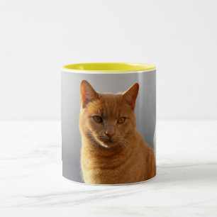 Merlin and the orb Two-Tone coffee mug