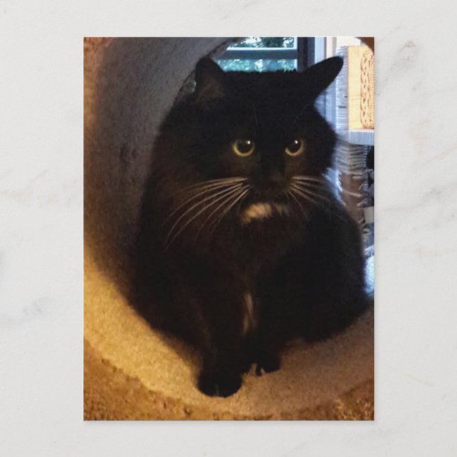 Merlin dans la carte postale du tunnel (Devant)