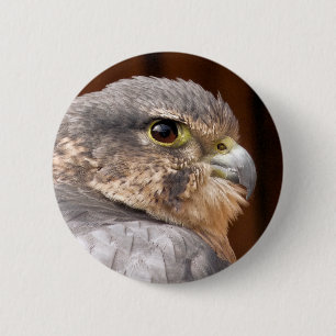 MERLIN FALCON BIRD OF PREY 2 INCH ROUND BUTTON