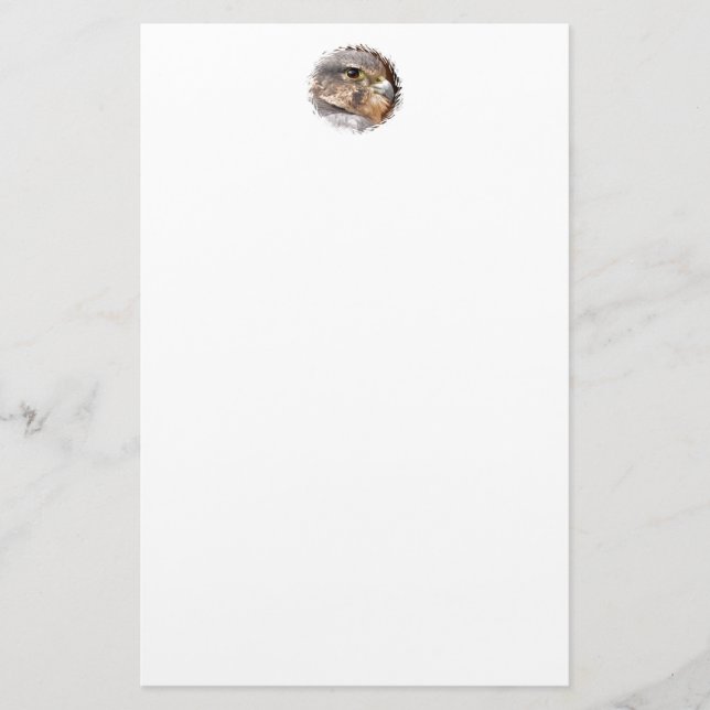 MERLIN FALCON BIRD OF PREY STATIONERY (Front)