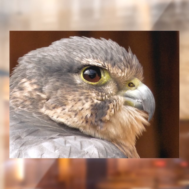 MERLIN FALCON BIRD OF PREY WINDOW CLING (Sheet 2)