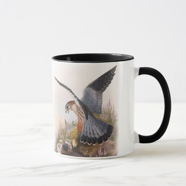 Merlin Falcon John Gould Birds of Great Britain Mug (Right)