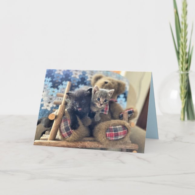 Merlin & Guinevere - Cat / Kitten Birthday Card (Front)