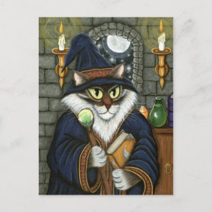 Merlin Magician Wizard Cat Magic Sorcerer Fantasy Postcard