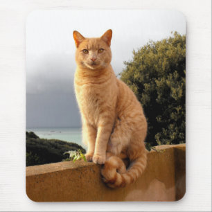 Merlin on the garden wall mouse pad