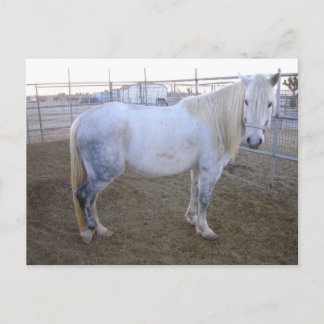 Merlin Post Card