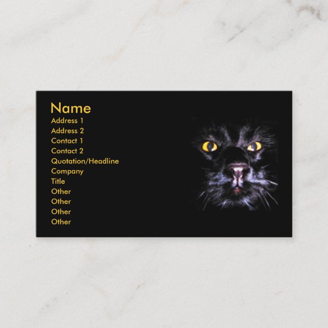 Merlin Watching business card (Front)