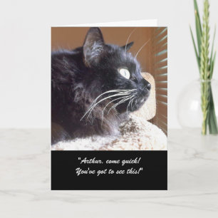 Merlin's View Story Greeting Card