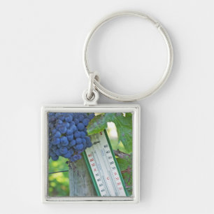 Merlot grapes at Chateau la Grave Figeac, a Keychain