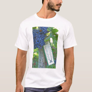 Merlot grapes at Chateau la Grave Figeac, a T-Shirt