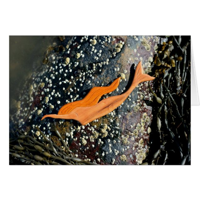 Mermaid diving (Front Horizontal)