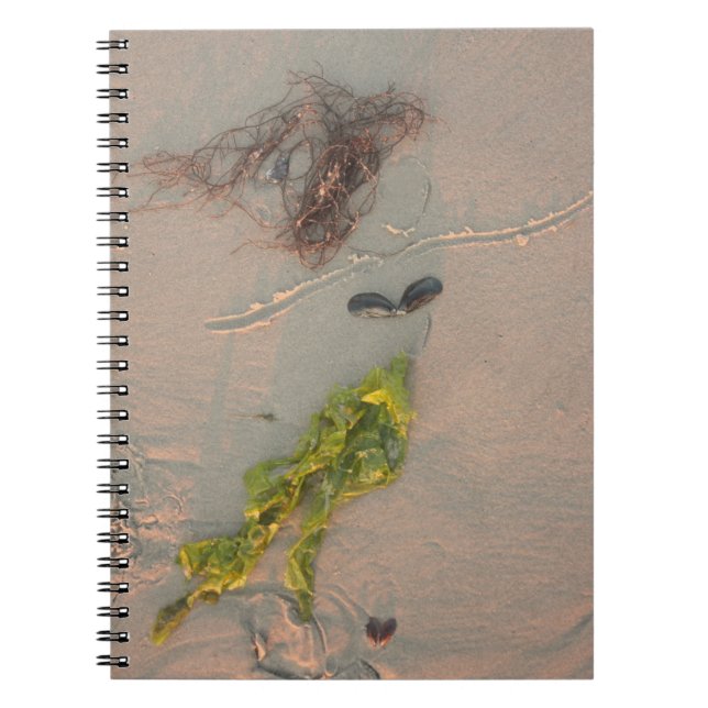 Mermaid Notebook (Front)