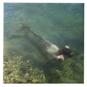 Mermaid swimming underwater tile