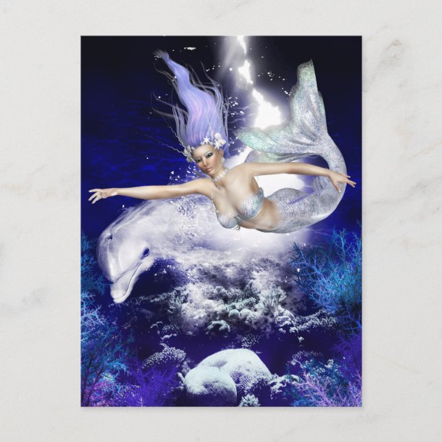 Mermaid with Dolphin Postcard (Front)