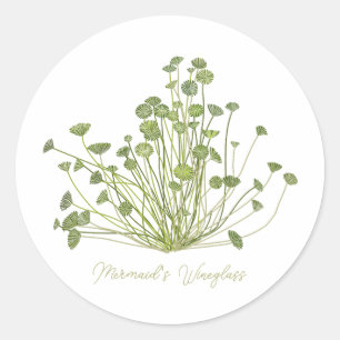 Mermaids Wineglass & Acetabularia Sea-Inspired Classic Round Sticker