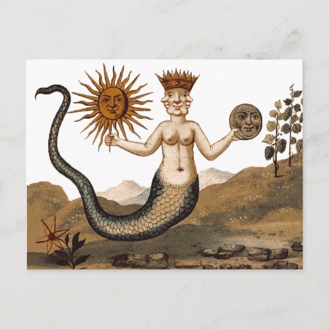 Merman With Three Faces Medieval Symbol Postcard (Front)