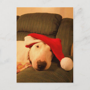 merra christmas santa hat holiday postcard