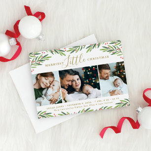 Merriest Little Christmas Holiday Greenery Photo