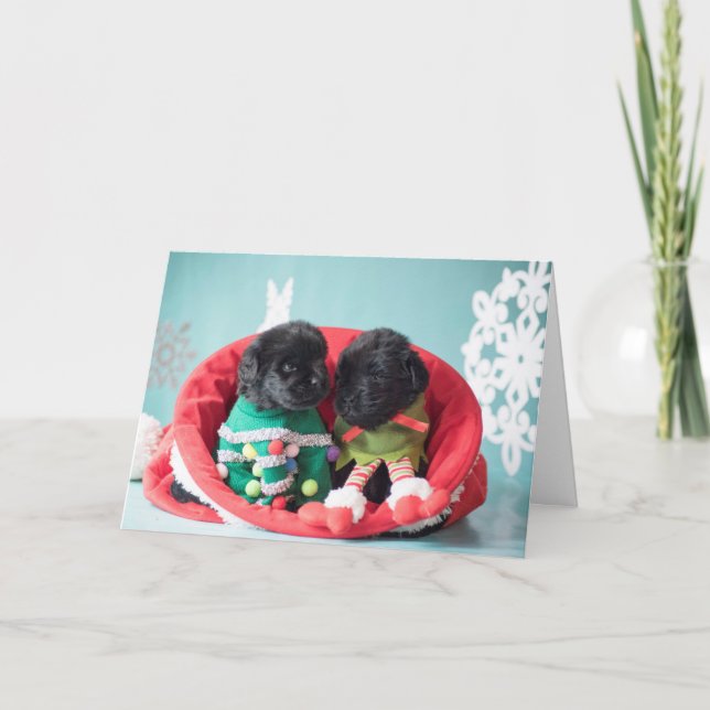 Merrily and gratefully Elf Puppies Holiday Card (Front)