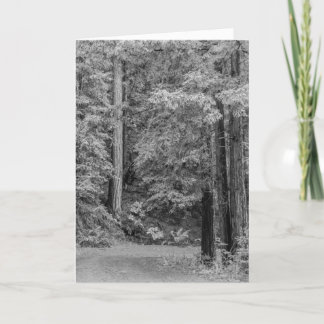 Merry Adventures Holiday Card