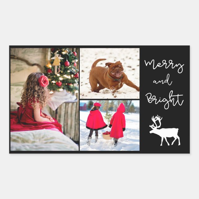 Merry and Bright Christmas Reindeer and Add Photos Sticker (Front)
