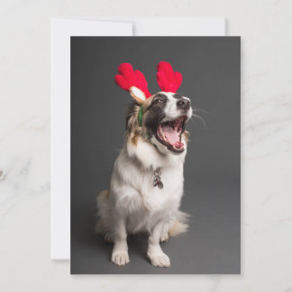 Merry and Happy Everything! Holiday Card