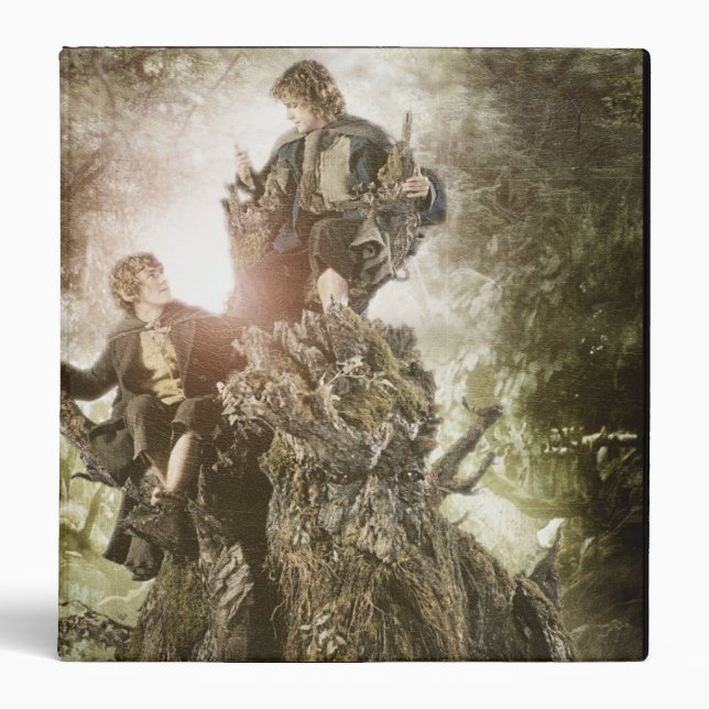 Merry and Peregrin on Treebeard Binder (Front)