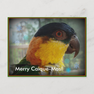 Merry Caique-Mas! Postcard