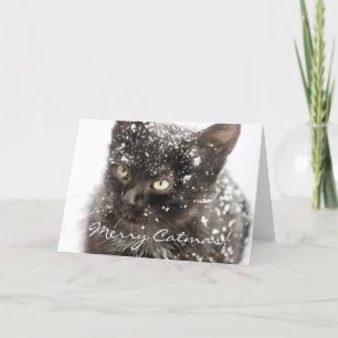 Merry Catmas Cat Christmas Greeting Card
